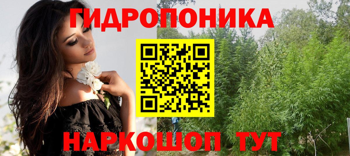 Дальнегорск  Канабис Amnesia  Конопля MAZAR  Канабис индика  Вход с VPN 